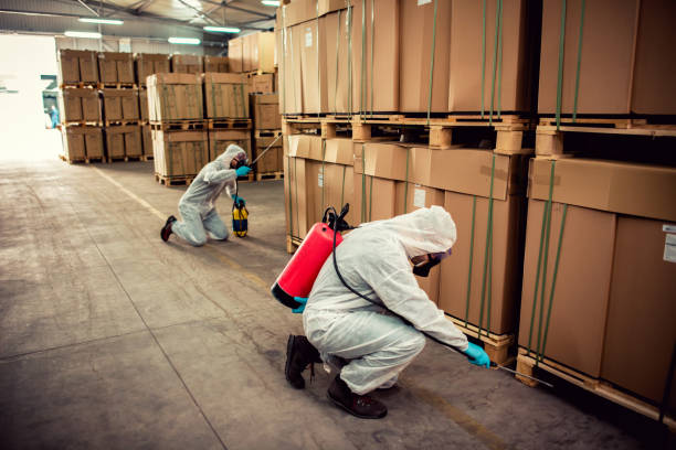 Best Pest Removal Services  in Mustang, OK