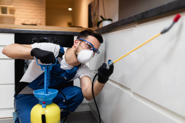 Best Bed Bug Extermination  in Mustang, OK