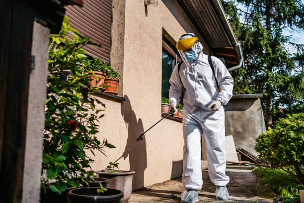 Best Pest Control Near Me  in Mustang, OK