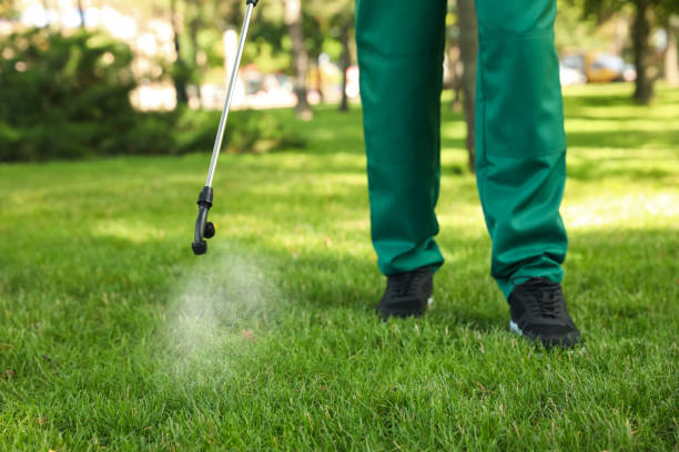 Best Termite Control Services  in Mustang, OK