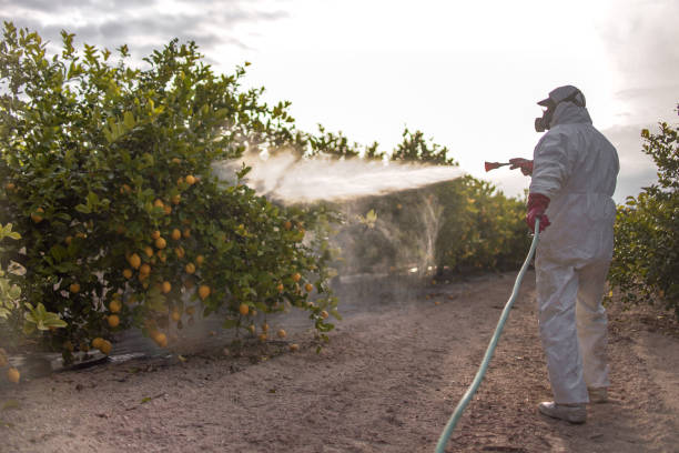 Best Pest Inspection Near Me  in Mustang, OK