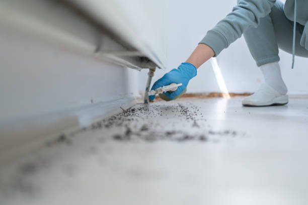 Trusted Mustang, OK Pest Control Experts