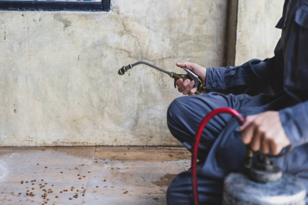 Best Cockroach Control Services  in Mustang, OK