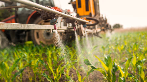 Best Commercial Pest Control Services  in Mustang, OK