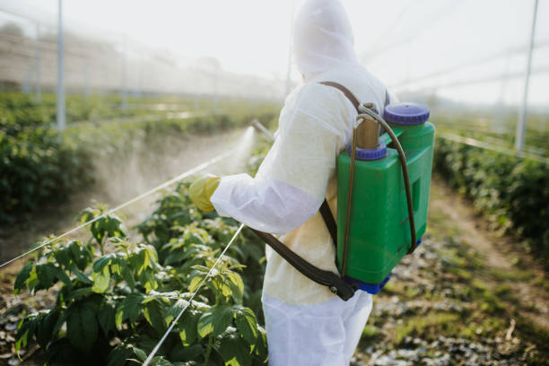 Best Ant Control Services  in Mustang, OK